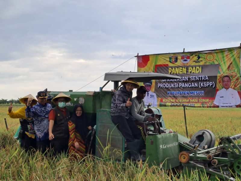 Panen Padi di Kawasan Sentra Produksi Pangan Mesuji