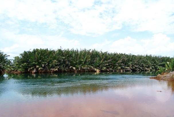 Penangkaran Buaya
